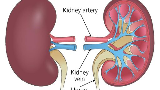 Ex-Knick Robinson’s kidney transplant successful