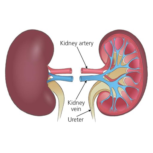 Ex-Knick Robinson’s kidney transplant successful